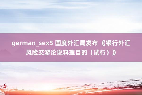 german_sex5 国度外汇局发布 《银行外汇风险交游论说料理目的（试行）》