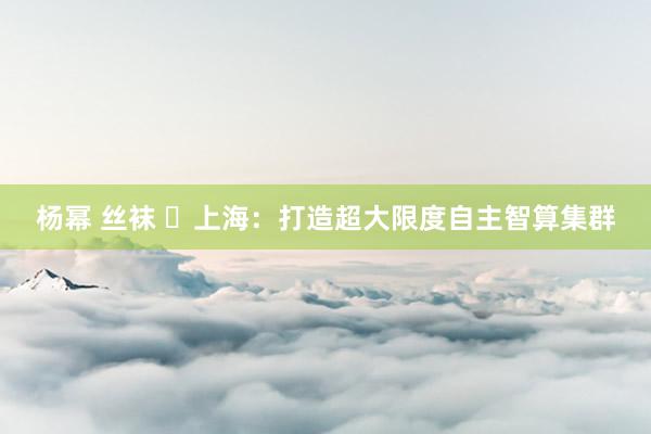 杨幂 丝袜 ​上海：打造超大限度自主智算集群