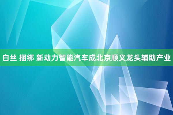 白丝 捆绑 新动力智能汽车成北京顺义龙头辅助产业