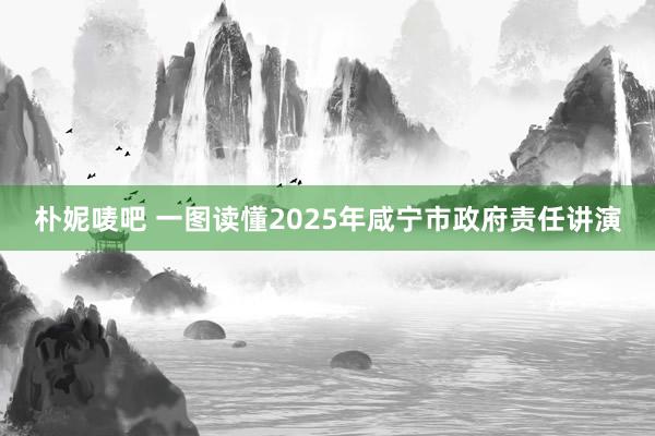 朴妮唛吧 一图读懂2025年咸宁市政府责任讲演