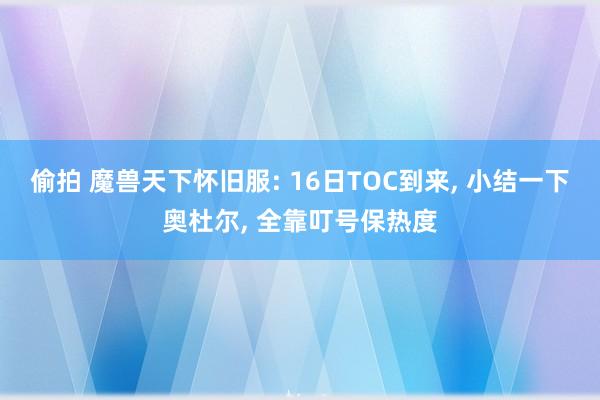 偷拍 魔兽天下怀旧服: 16日TOC到来， 小结一下奥杜尔， 全靠叮号保热度