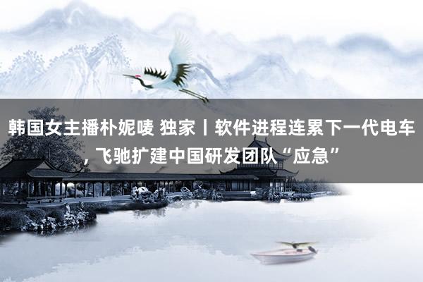 韩国女主播朴妮唛 独家丨软件进程连累下一代电车， 飞驰扩建中国研发团队“应急”