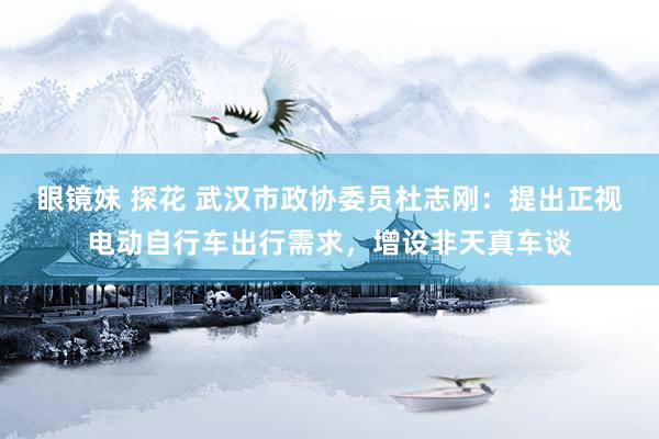 眼镜妹 探花 武汉市政协委员杜志刚：提出正视电动自行车出行需求，增设非天真车谈