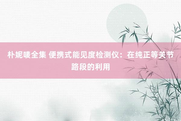 朴妮唛全集 便携式能见度检测仪：在纯正等关节路段的利用
