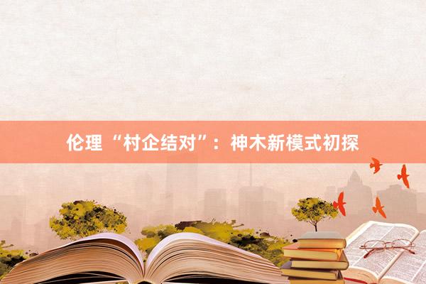 伦理 “村企结对”：神木新模式初探