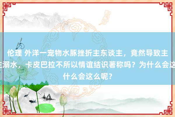 伦理 外洋一宠物水豚挫折主东谈主，竟然导致主东谈主溺水，卡皮巴拉不所以情谊结识著称吗？为什么会这么呢？