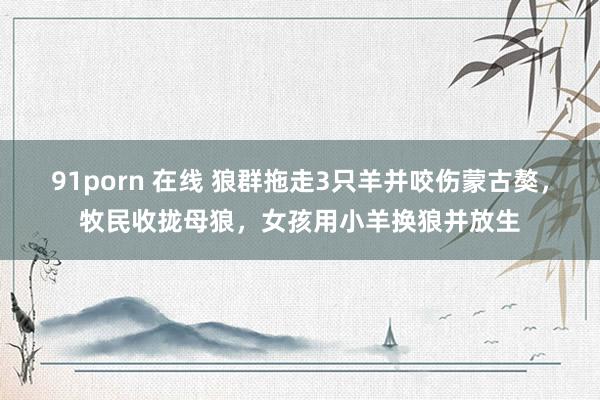 91porn 在线 狼群拖走3只羊并咬伤蒙古獒，牧民收拢母狼，女孩用小羊换狼并放生