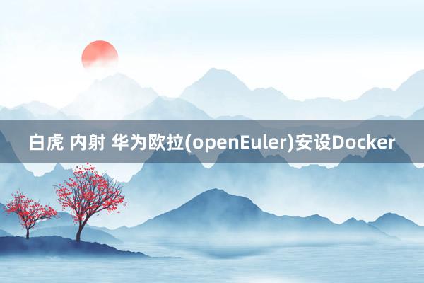 白虎 内射 华为欧拉(openEuler)安设Docker