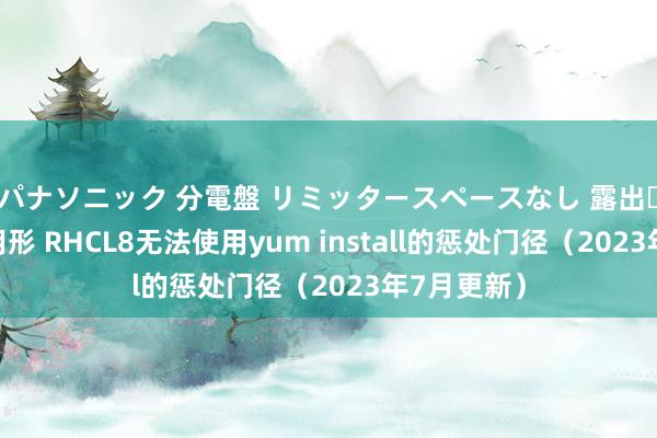 パナソニック 分電盤 リミッタースペースなし 露出・半埋込両用形 RHCL8无法使用yum install的惩处门径（2023年7月更新）