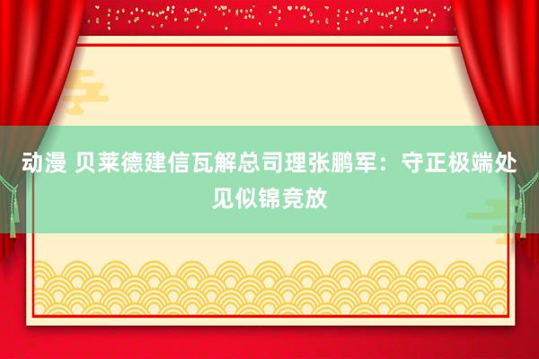 动漫 贝莱德建信瓦解总司理张鹏军：守正极端处见似锦竞放