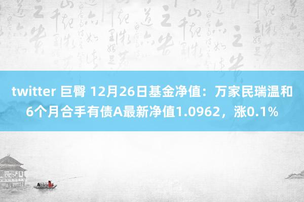twitter 巨臀 12月26日基金净值：万家民瑞温和6个月合手有债A最新净值1.0962，涨0.1%