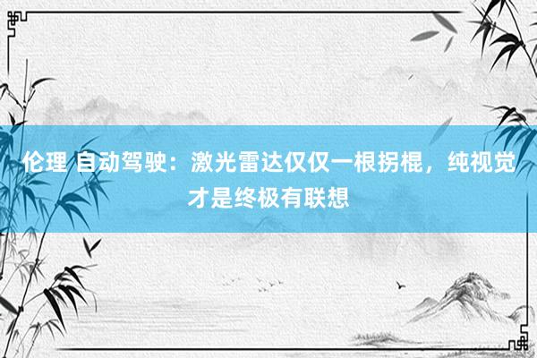 伦理 自动驾驶：激光雷达仅仅一根拐棍，纯视觉才是终极有联想