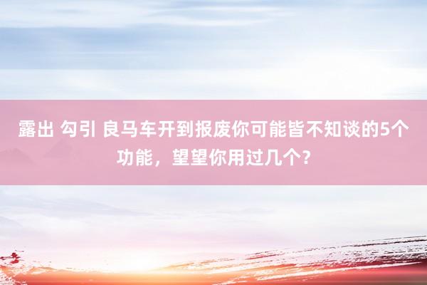 露出 勾引 良马车开到报废你可能皆不知谈的5个功能，望望你用过几个？