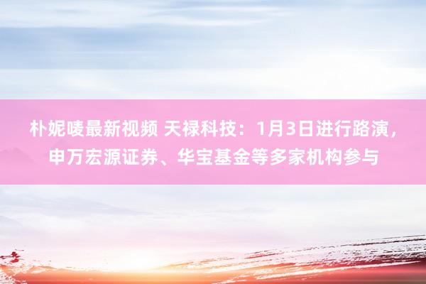 朴妮唛最新视频 天禄科技：1月3日进行路演，申万宏源证券、华宝基金等多家机构参与