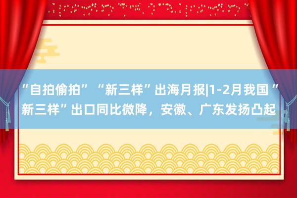 “自拍偷拍” “新三样”出海月报|1-2月我国“新三样”出口同比微降，安徽、广东发扬凸起