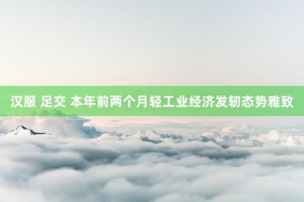汉服 足交 本年前两个月轻工业经济发轫态势雅致