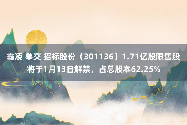 霸凌 拳交 招标股份（301136）1.71亿股限售股将于1月13日解禁，占总股本62.25%