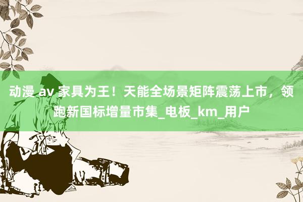 动漫 av 家具为王！天能全场景矩阵震荡上市，领跑新国标增量市集_电板_km_用户