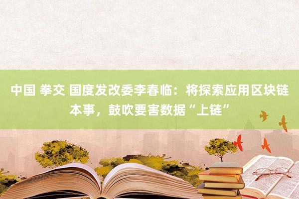 中国 拳交 国度发改委李春临：将探索应用区块链本事，鼓吹要害数据“上链”