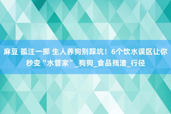 麻豆 孤注一掷 生人养狗别踩坑！6个饮水误区让你秒变“水管家”_狗狗_食品残渣_行径