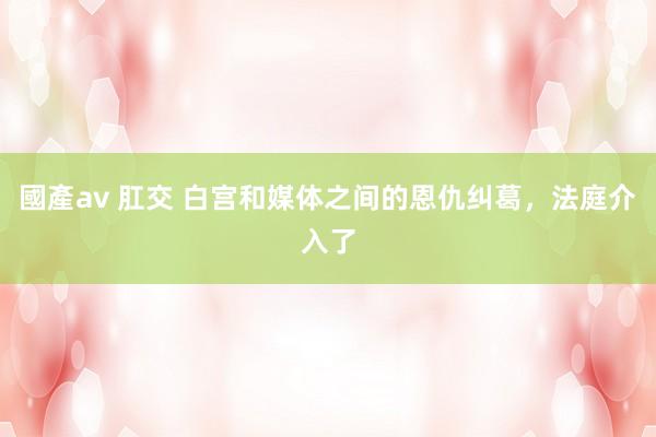 國產av 肛交 白宫和媒体之间的恩仇纠葛，法庭介入了