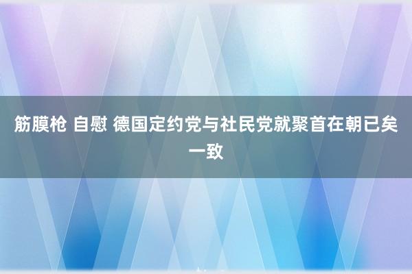 筋膜枪 自慰 德国定约党与社民党就聚首在朝已矣一致