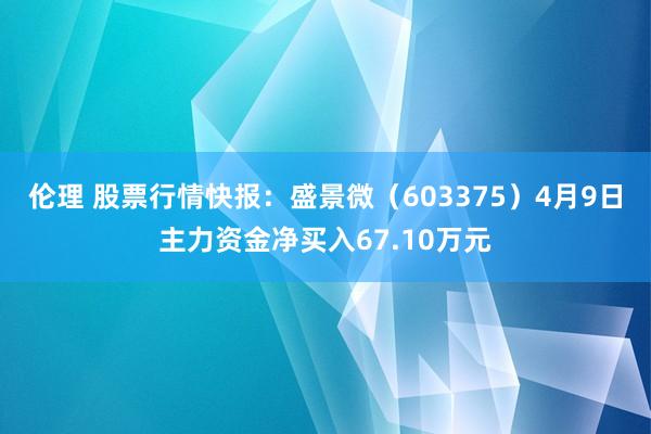 伦理 股票行情快报：盛景微（603375）4月9日主力资金净买入67.10万元