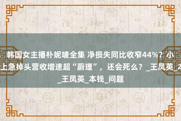 韩国女主播朴妮唛全集 净损失同比收窄44%？小鹏黄泉路上急掉头营收增速超“蔚理”，还会死么？_王凤英_本钱_问题