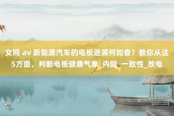 女同 av 新能源汽车的电板进展何如查？教你从这5方面，判断电板健康气象_内阻_一致性_放电
