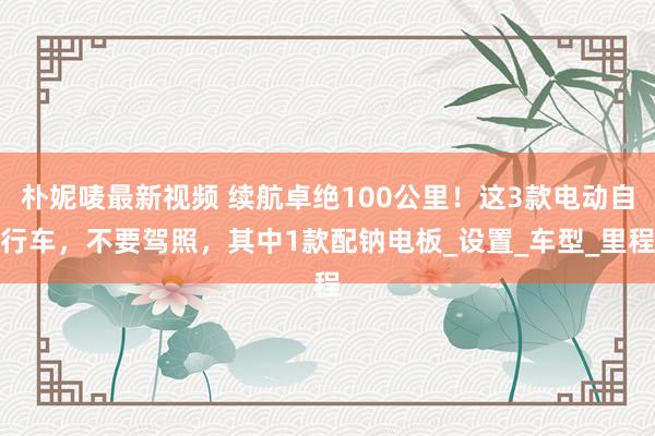 朴妮唛最新视频 续航卓绝100公里！这3款电动自行车，不要驾照，其中1款配钠电板_设置_车型_里程