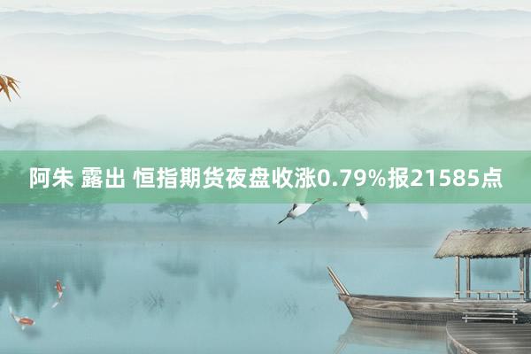 阿朱 露出 恒指期货夜盘收涨0.79%报21585点