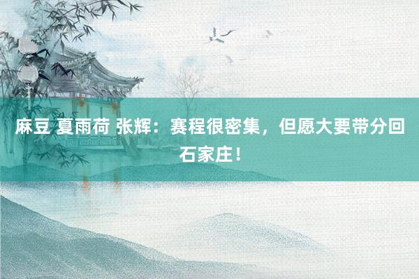 麻豆 夏雨荷 张辉：赛程很密集，但愿大要带分回石家庄！